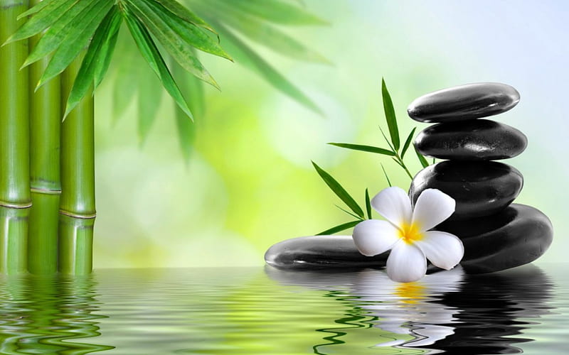 HD-wallpaper-relaxation-water-stones-plumeria-spa-relaxing-bamboo